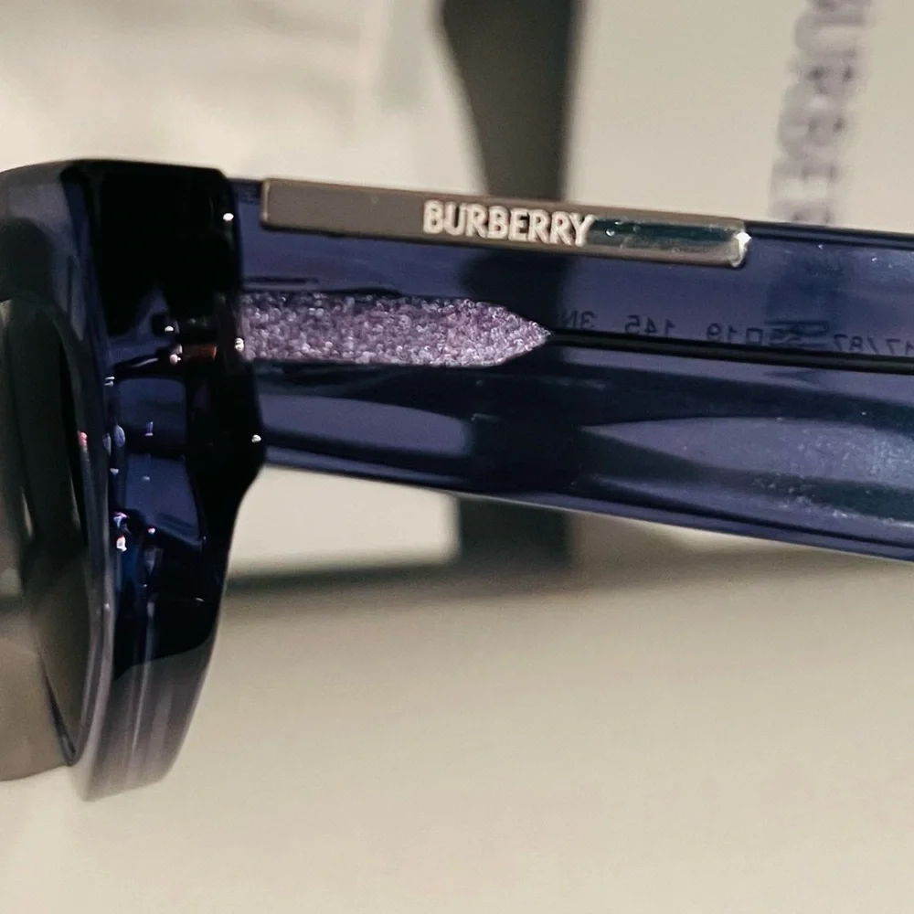 Burberry stylish cat